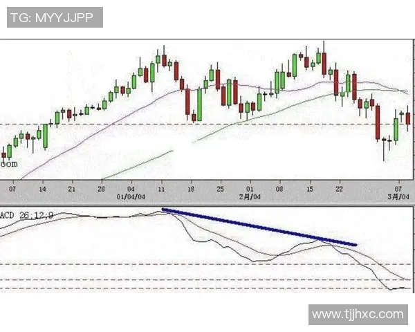 武汉篮球队与广州篮球队赛后技术分析与战术复盘探讨